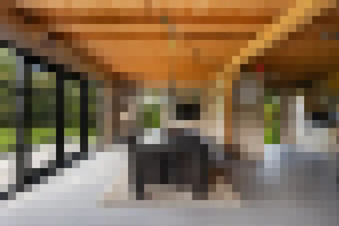 Wildervangseweg 1 Strijen thumbnail 37