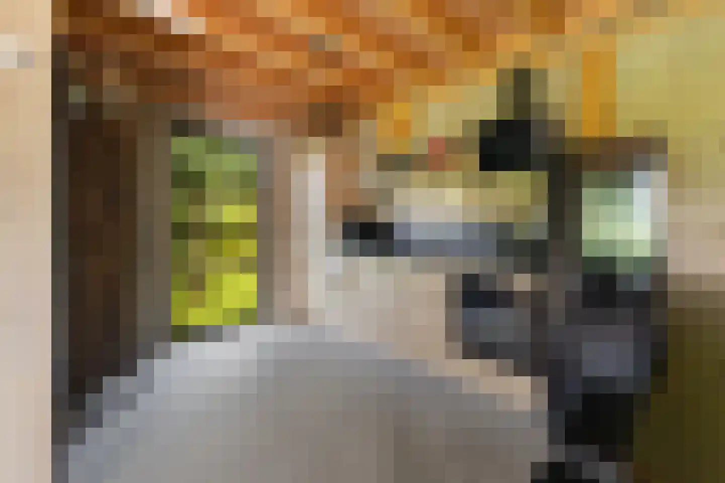 Wildervangseweg 1 Strijen thumbnail 38