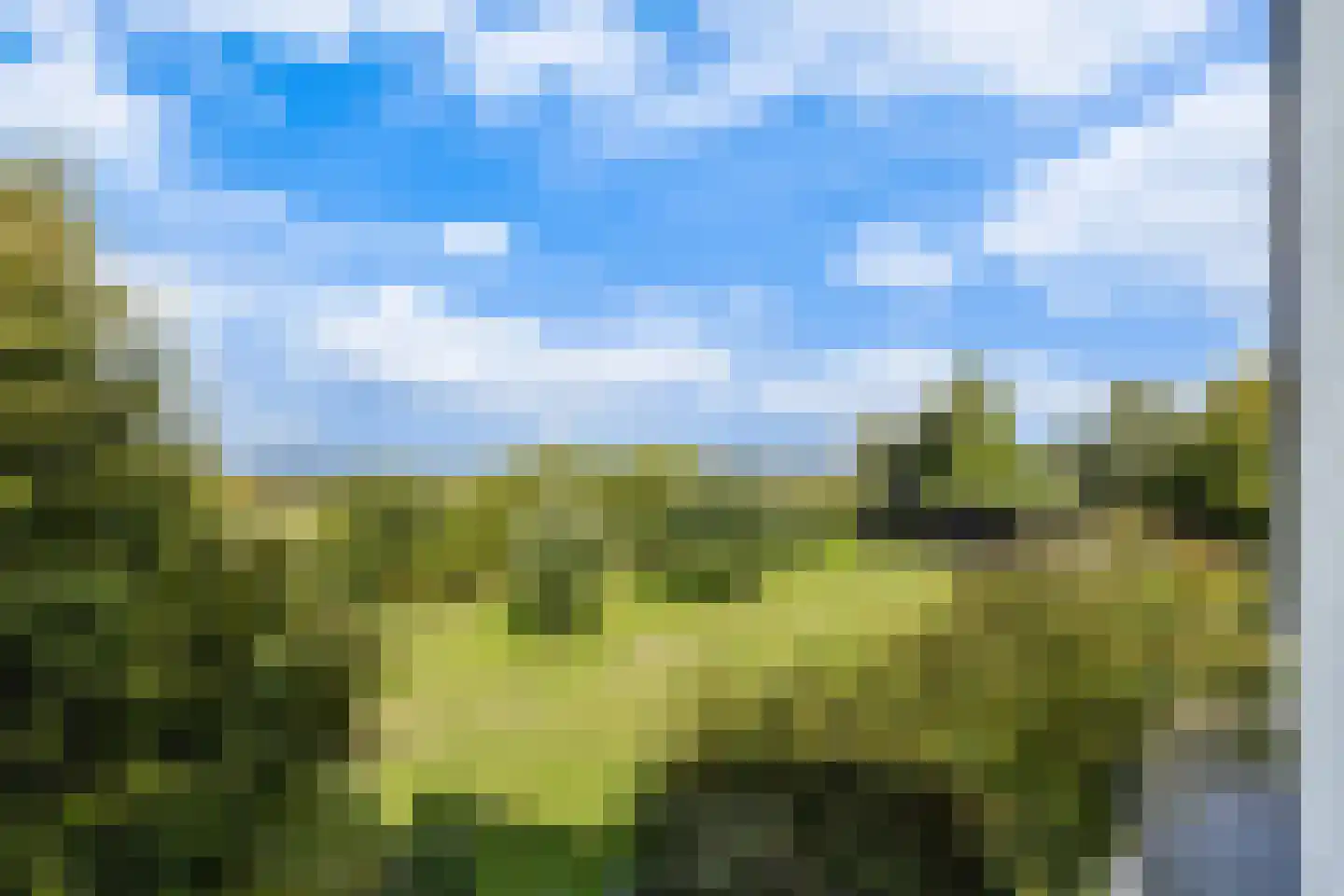 Wildervangseweg 1 Strijen thumbnail 39
