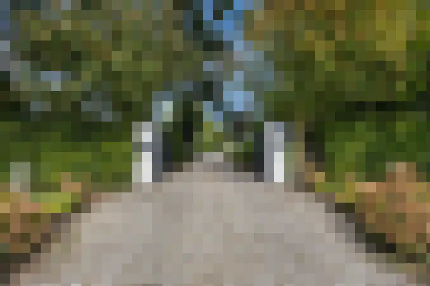 Wildervangseweg 1 Strijen thumbnail 4