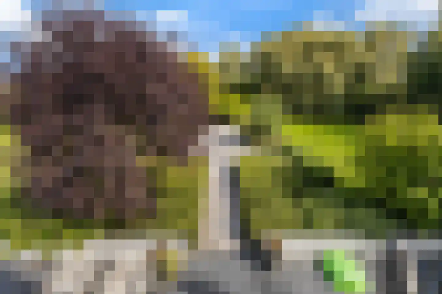 Wildervangseweg 1 Strijen thumbnail 40