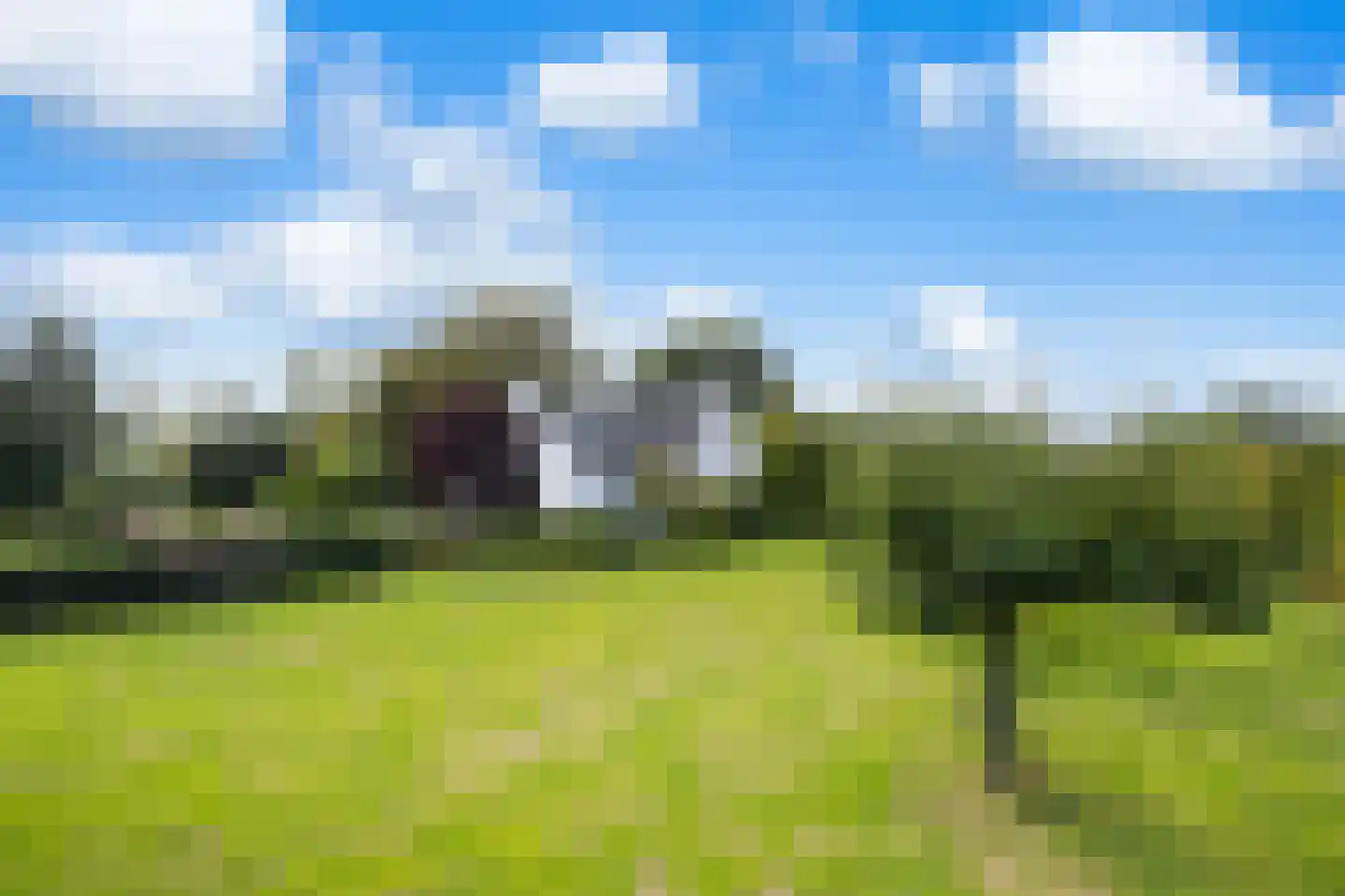 Wildervangseweg 1 Strijen thumbnail 41