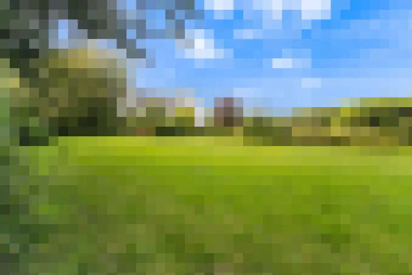 Wildervangseweg 1 Strijen thumbnail 43