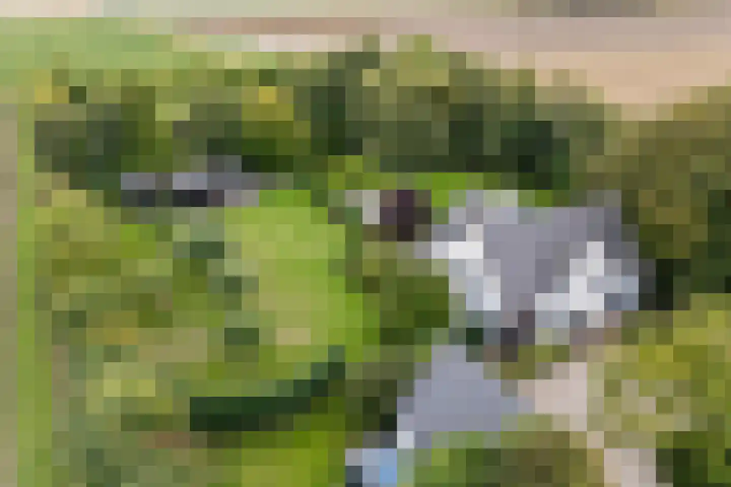 Wildervangseweg 1 Strijen thumbnail 46