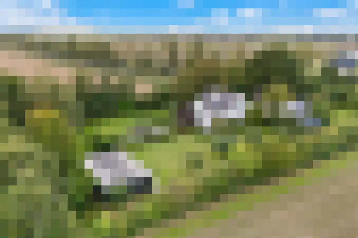 Wildervangseweg 1 Strijen thumbnail 48