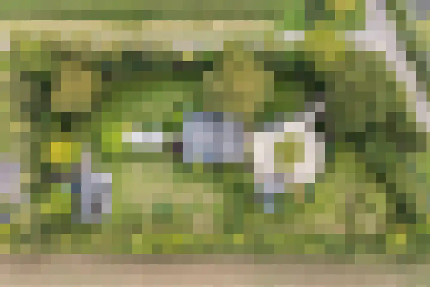 Wildervangseweg 1 Strijen thumbnail 49