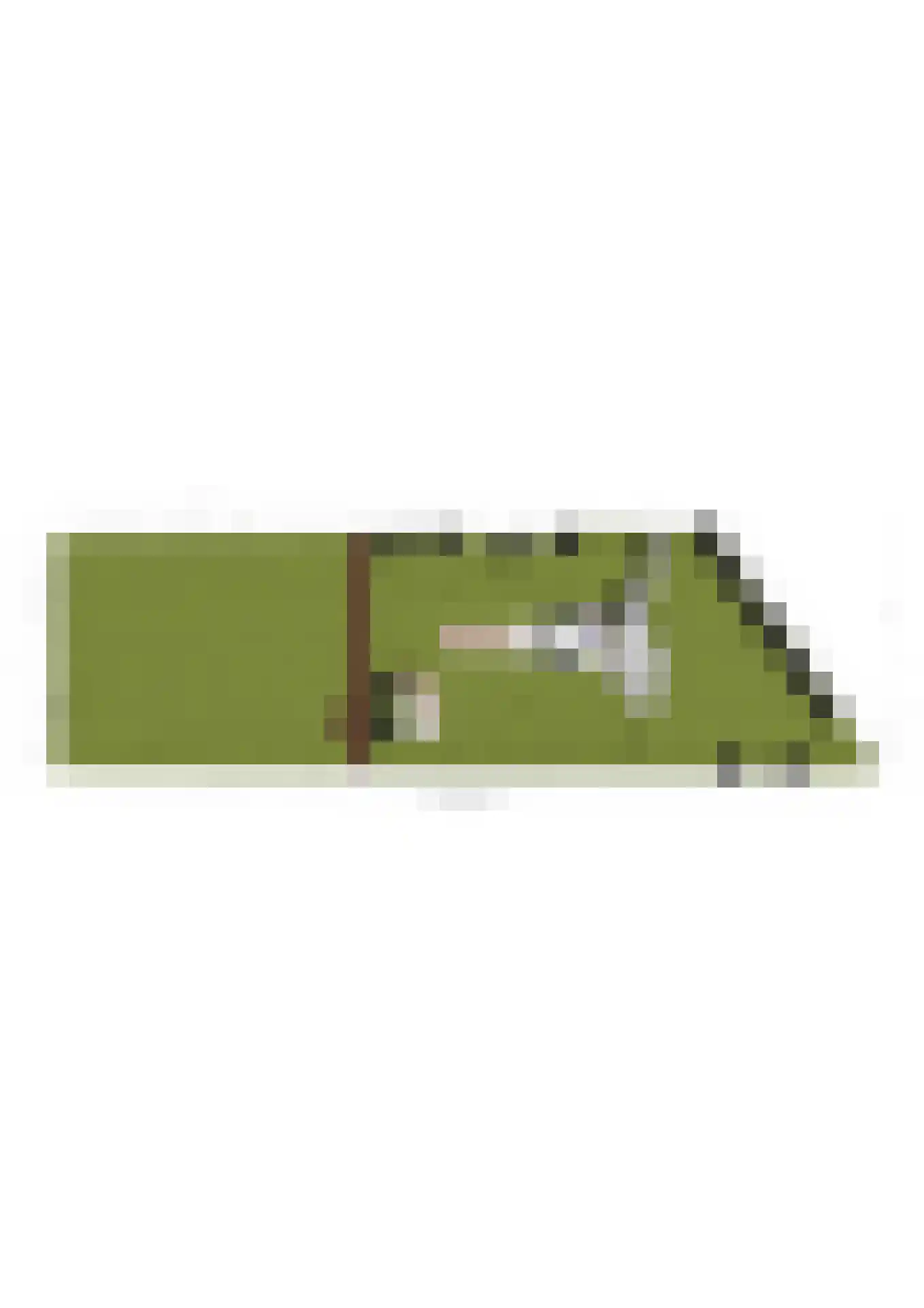 Wildervangseweg 1 Strijen thumbnail 50