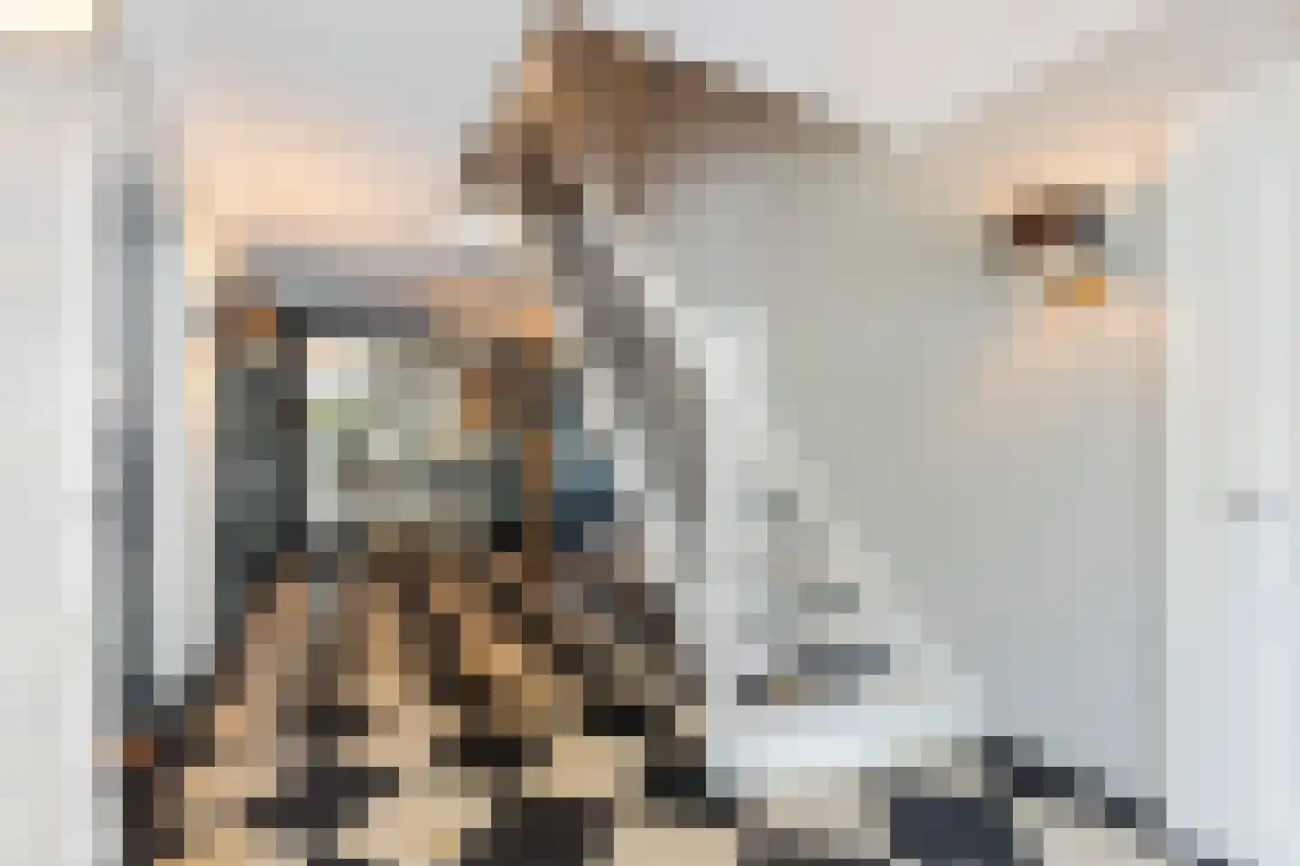 Wildervangseweg 1 Strijen thumbnail 7