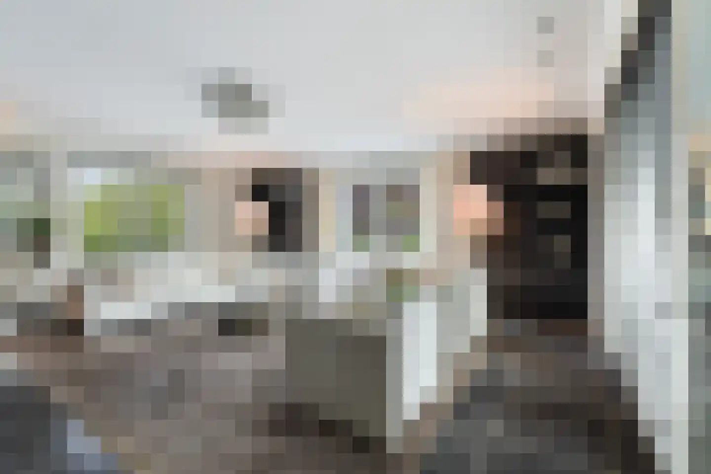 Wildervangseweg 1 Strijen thumbnail 8