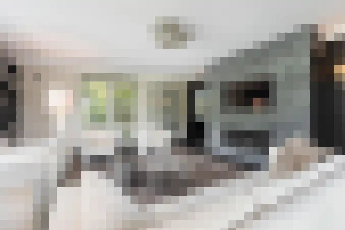 Wildervangseweg 1 Strijen thumbnail 9