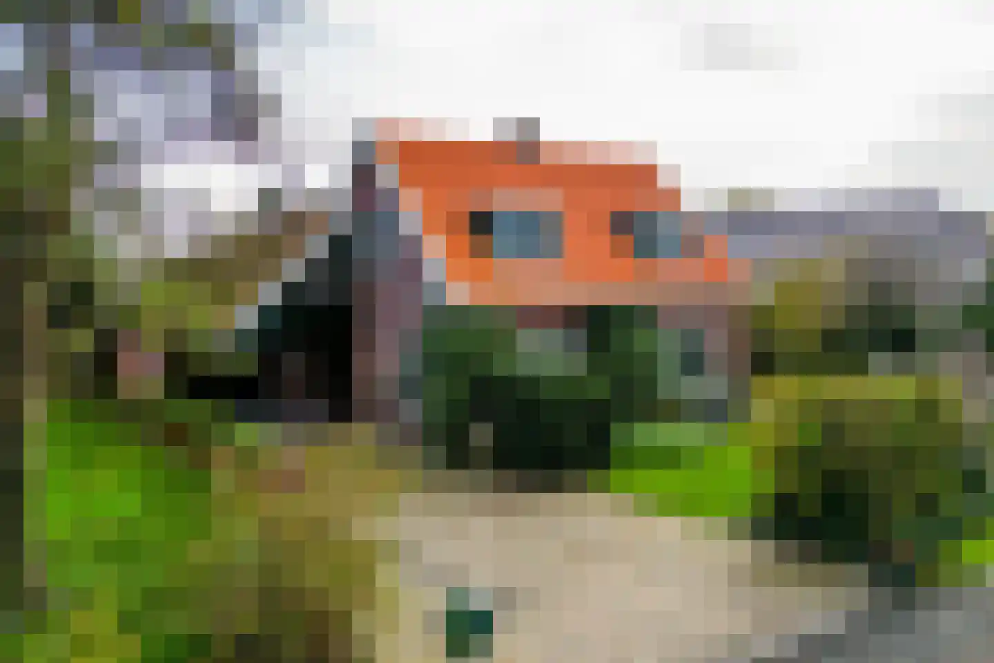 Wildervanksterdallen 31 Wildervank