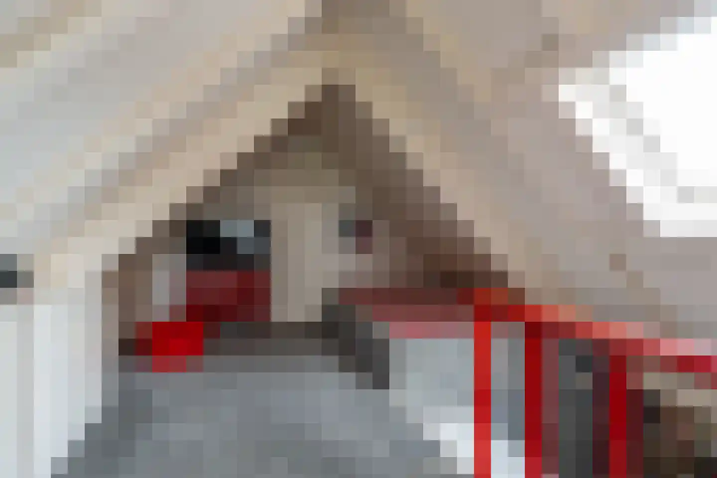 Wildervanksterdallen 31 Wildervank thumbnail 21