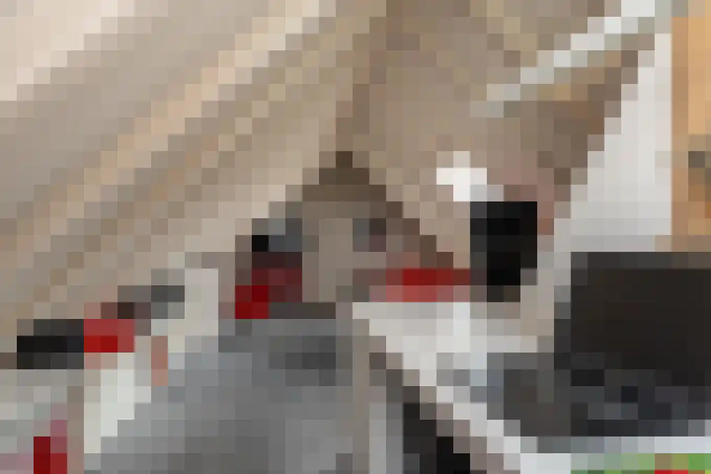 Wildervanksterdallen 31 Wildervank thumbnail 22