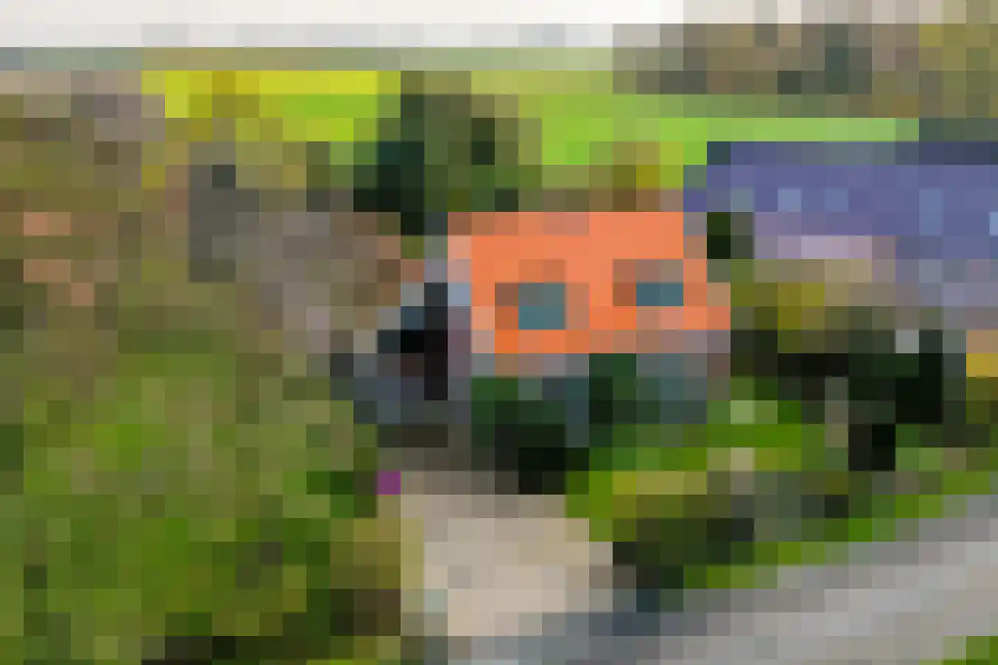 Wildervanksterdallen 31 Wildervank thumbnail 36