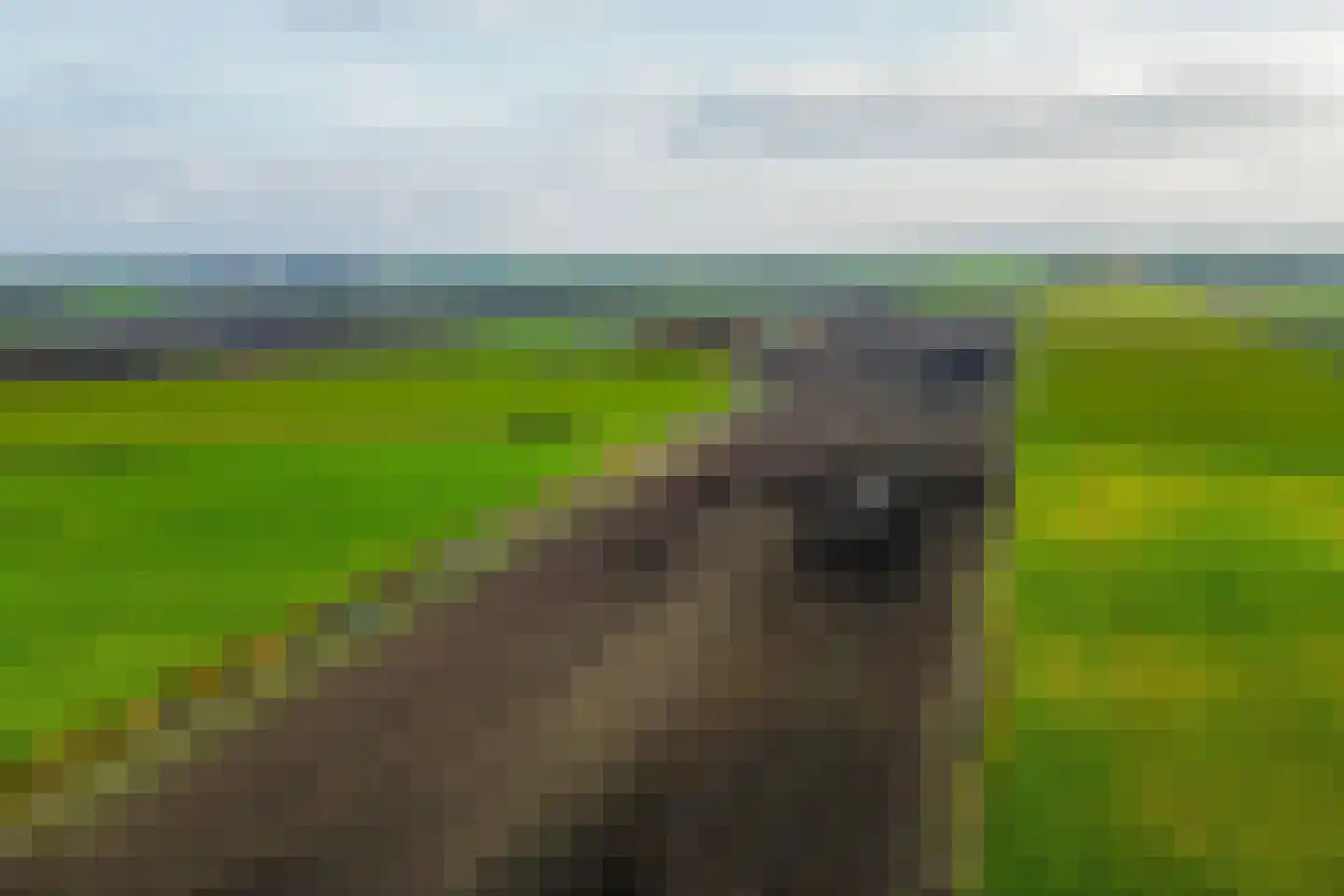 Wildervanksterdallen 31 Wildervank thumbnail 37