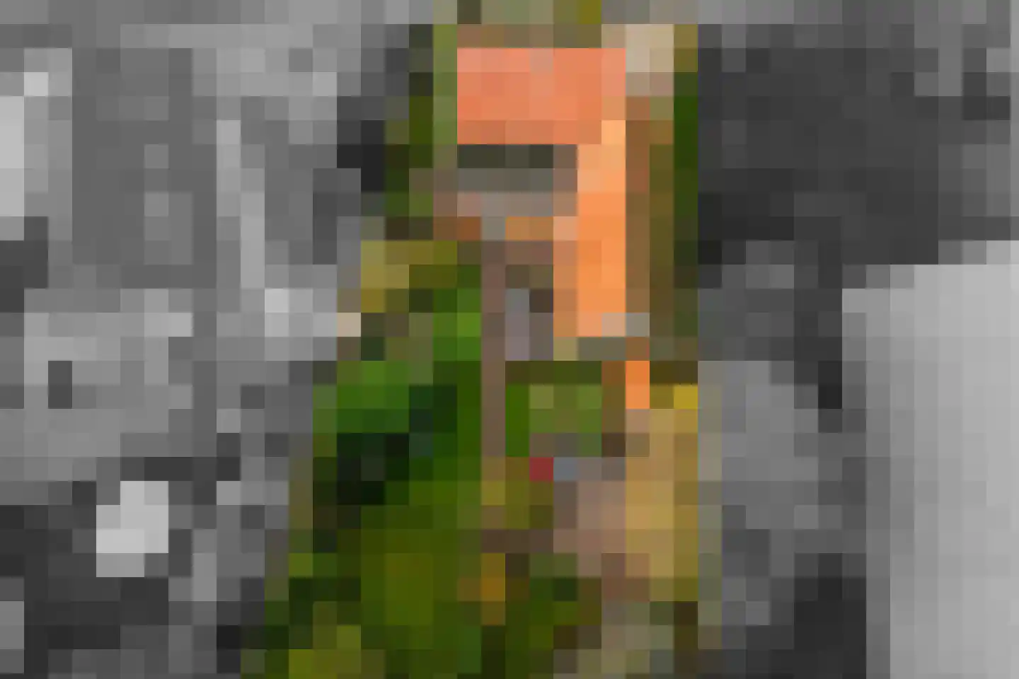 Wildervanksterdallen 31 Wildervank thumbnail 39