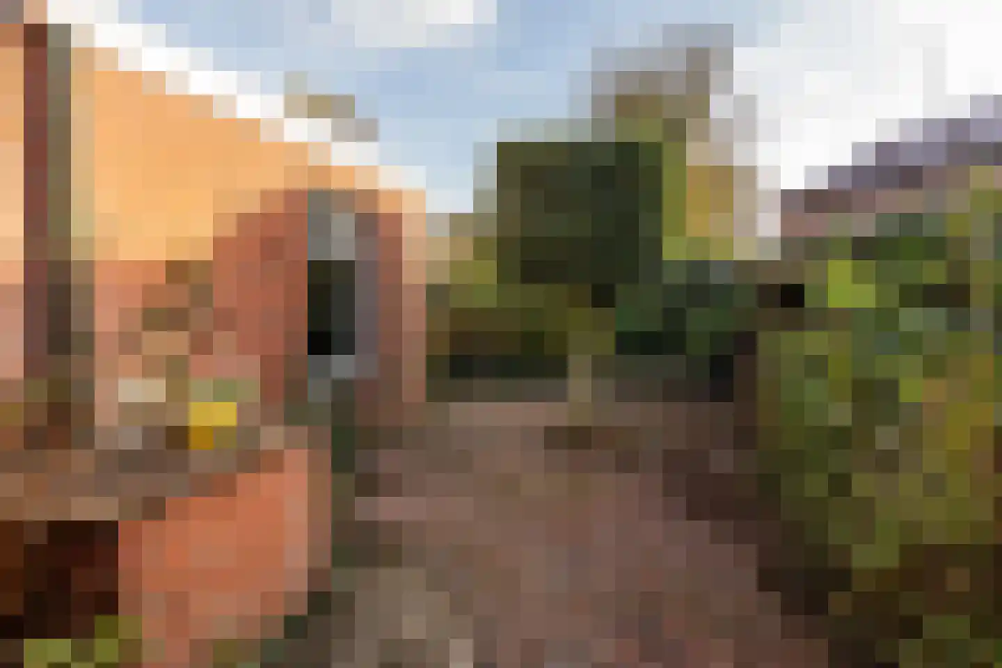 Wildervanksterdallen 31 Wildervank thumbnail 47
