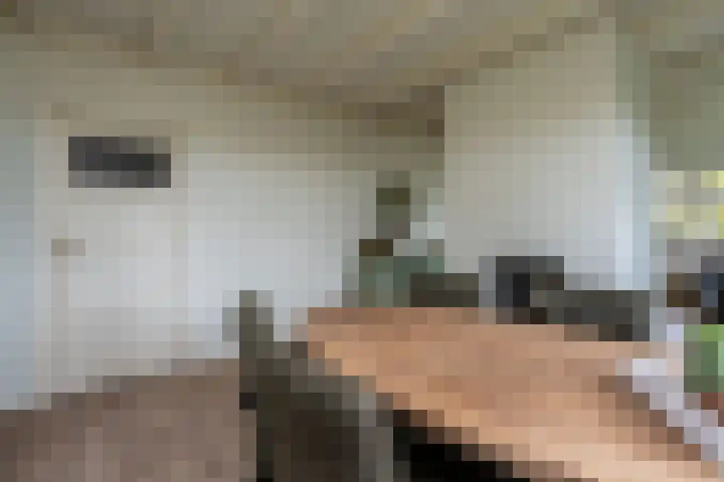 Wildervanksterdallen 31 Wildervank thumbnail 5