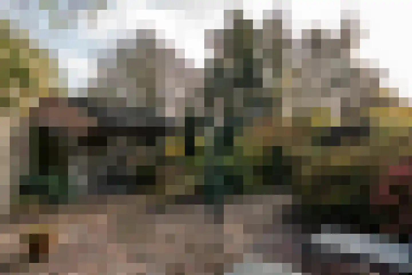 Wildervanksterdallen 31 Wildervank thumbnail 56