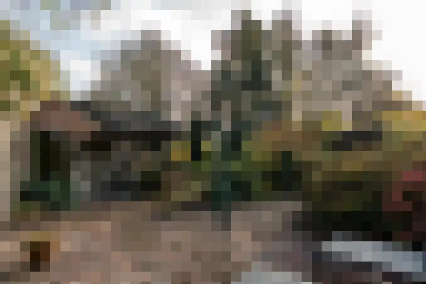 Wildervanksterdallen 31 Wildervank thumbnail 59