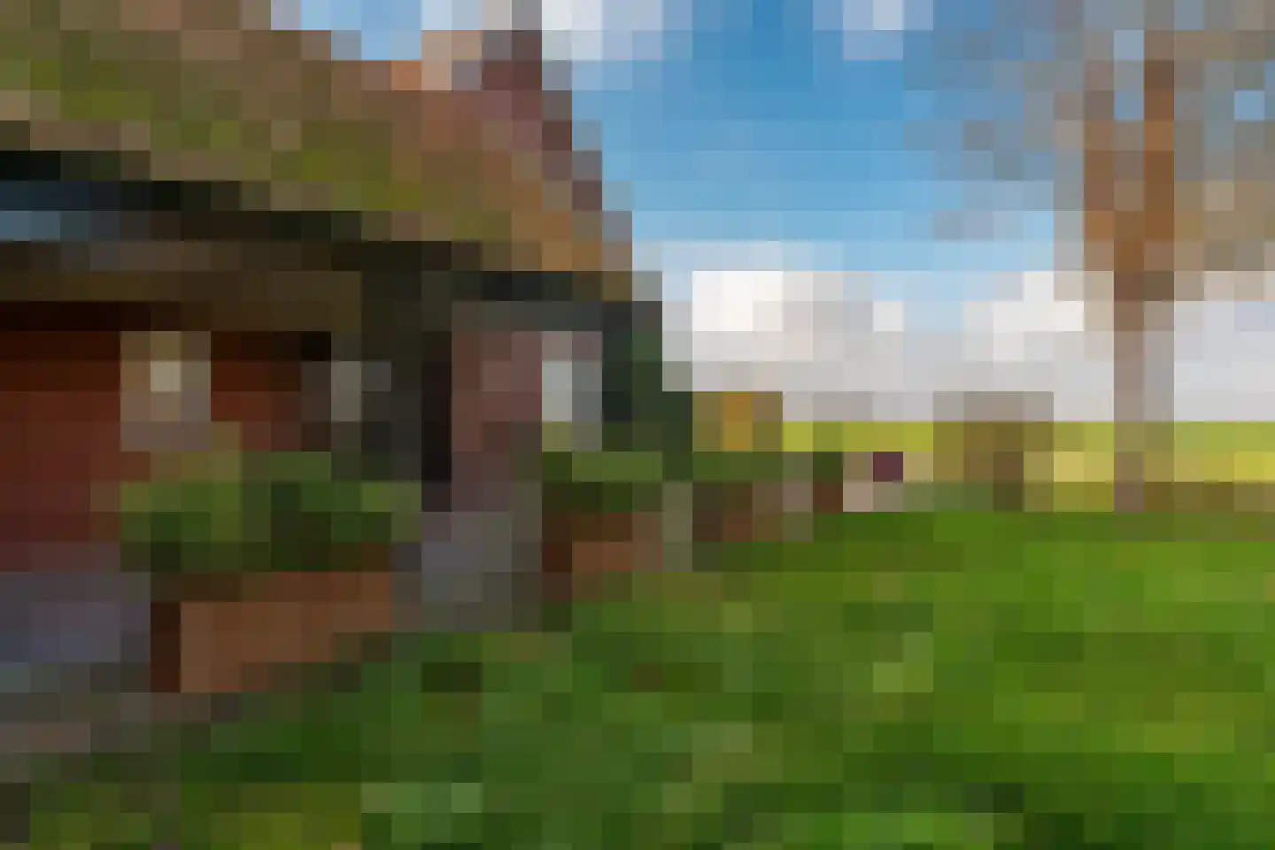 Wildervanksterdallen 31 Wildervank thumbnail 60