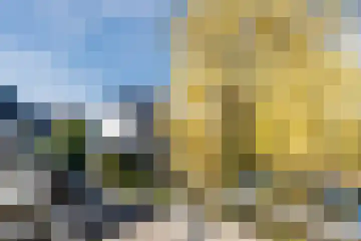 Wilderveld 4 Vleuten thumbnail 12