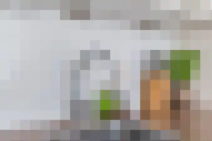 Wilderveld 4 Vleuten thumbnail 25