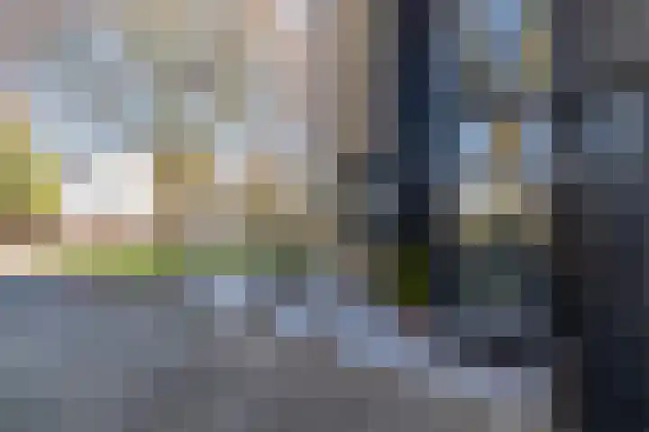 Wilderveld 4 Vleuten thumbnail 47