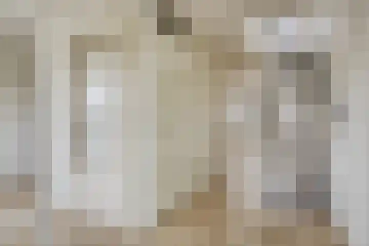 Wildeveenstraat 44 Rotterdam thumbnail 4