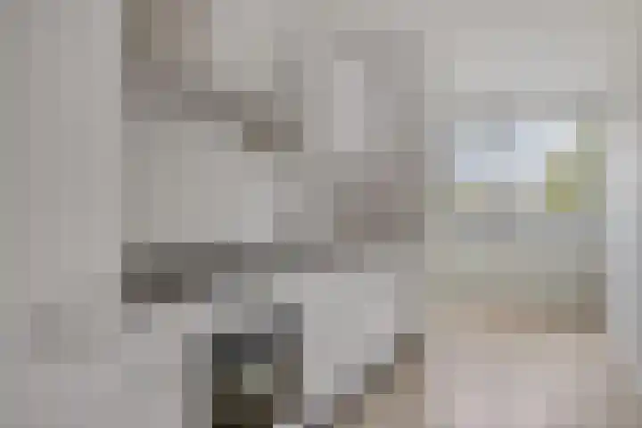 Wildeveenstraat 44 Rotterdam thumbnail 8