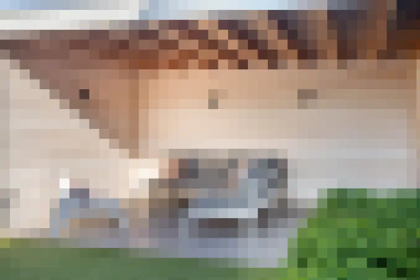 Wildeweitstraat 5 Rosmalen thumbnail 19