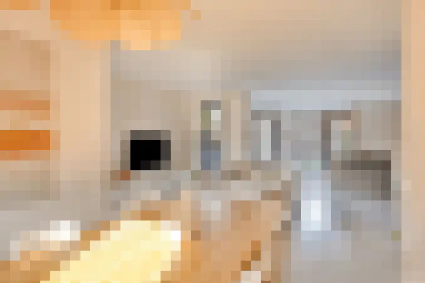 Wildeweitstraat 5 Rosmalen thumbnail 8