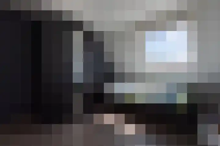 Wildforster 104 Barneveld thumbnail 36
