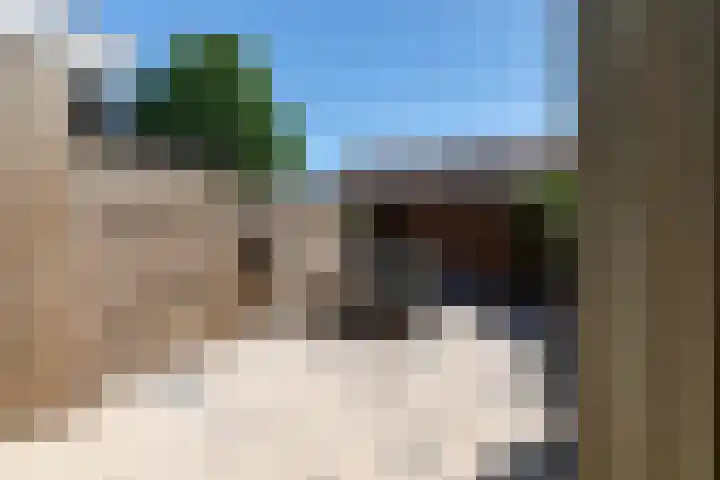 Wildforster 104 Barneveld thumbnail 39