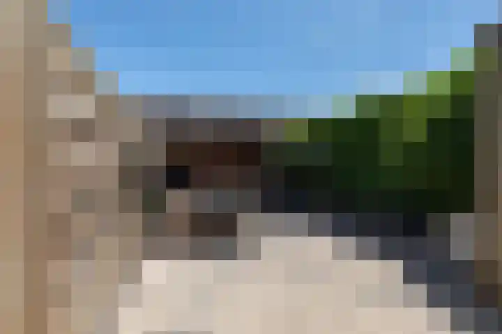 Wildforster 104 Barneveld thumbnail 40
