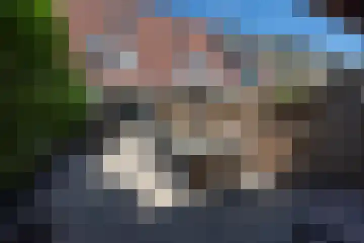 Wildforster 104 Barneveld thumbnail 41