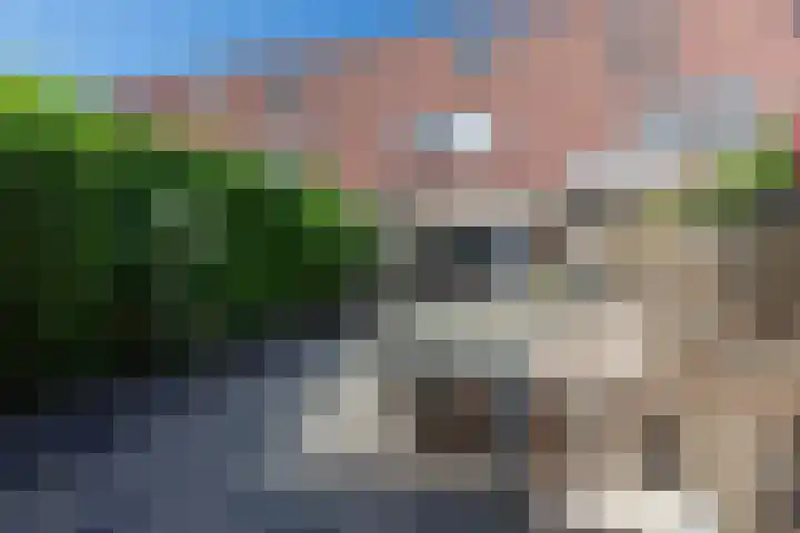 Wildforster 104 Barneveld thumbnail 42