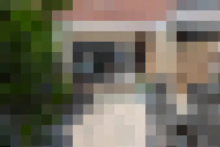 Wildforster 104 Barneveld thumbnail 43