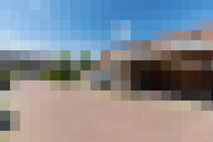 Wildforster 104 Barneveld thumbnail 46