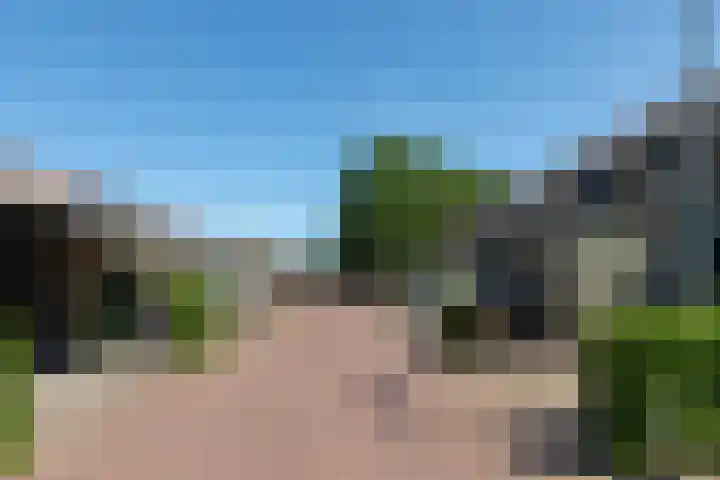 Wildforster 104 Barneveld thumbnail 48