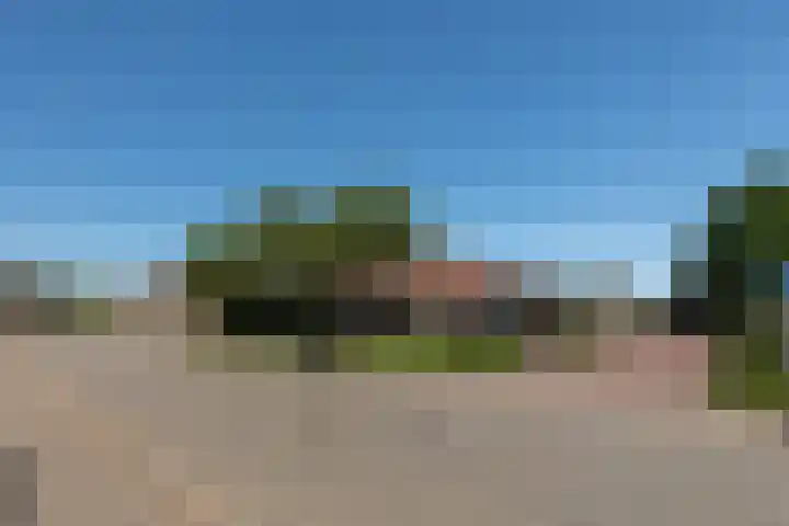Wildforster 104 Barneveld thumbnail 49