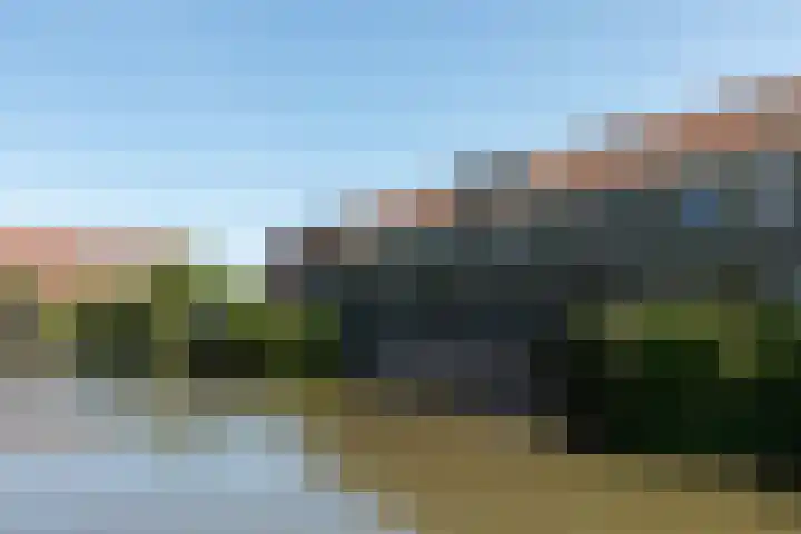 Wildforster 104 Barneveld thumbnail 5