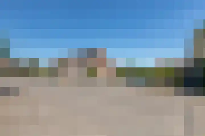 Wildforster 104 Barneveld thumbnail 50
