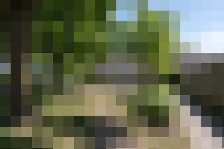 Wildforster 104 Barneveld thumbnail 51