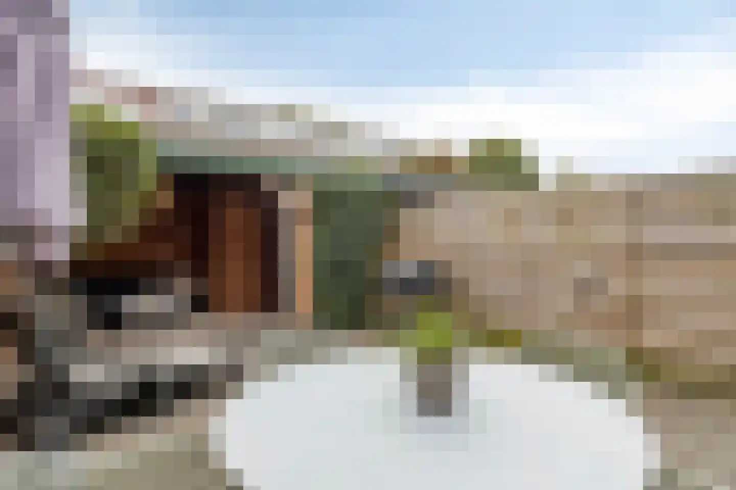 Wildforster 12 Ede thumbnail 33