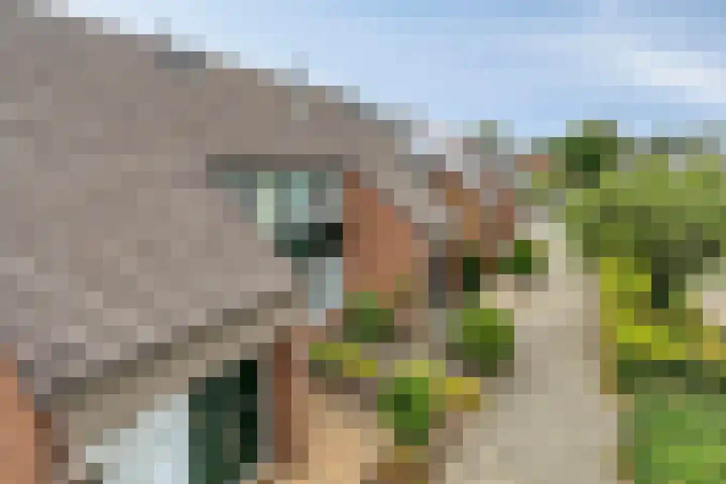Wildforster 12 Ede thumbnail 43
