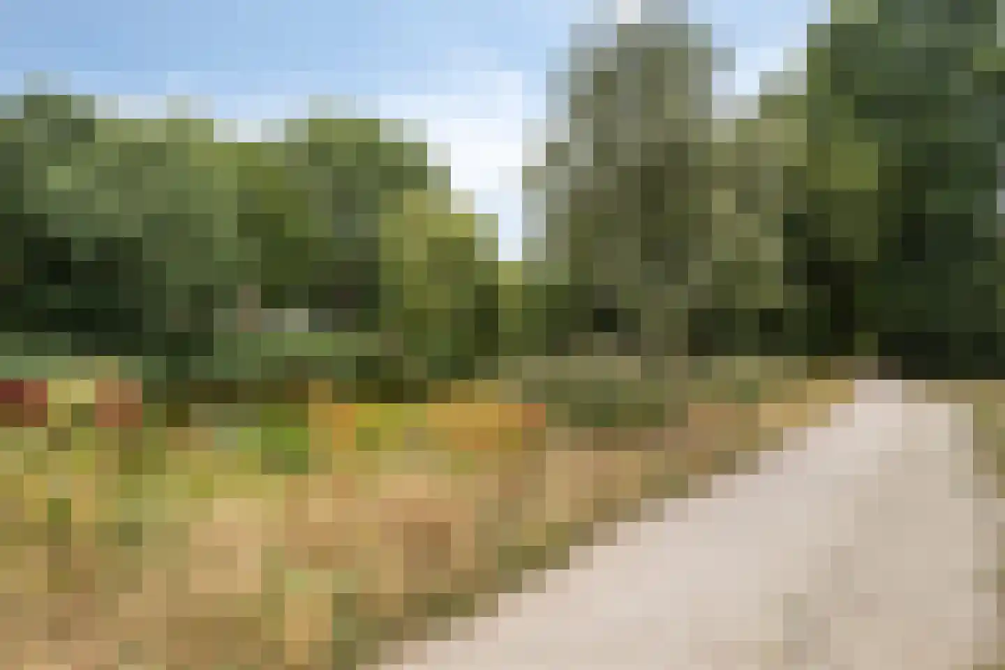 Wildforster 12 Ede thumbnail 45