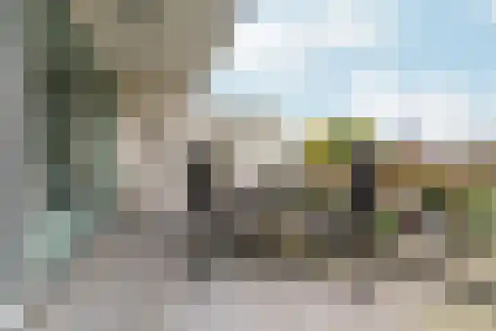 Wildforster 357 Ede thumbnail 27