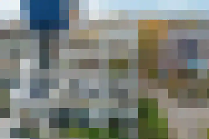 Wildforster 357 Ede thumbnail 32
