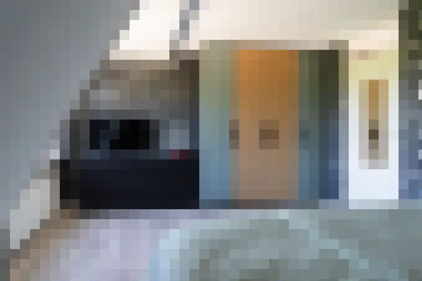 Wildforster 45 Barneveld thumbnail 24